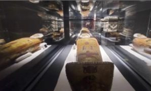 نائبة تطالب وزير الصحة بإنشاء مركز متخصص للاكتشاف المبكر والعلاج التأهيلي لذوي الإعاقة