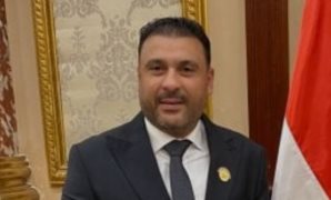 برلمانى: كلمة الرئيس في إفطار الأسرة المصرية تجدد الثقة في قدرة الدولة