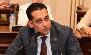 النائب أحمد حافظ: مصر داعمة لأشقائها في الخليج وأمنهم جزء لا يتجزأ من الأمن القومي العربي
