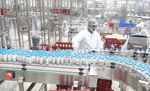 قانون العمل الجديد يضع حقوق العمال نصب العين..حماية من التمييز والتحرش والتشريع ينص على تعويضات مضمونة للعاملين وتدريب وتأهيل متقدم لتمكين القوى العاملة وربط التعليم بسوق العمل