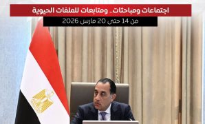 مجلس الوزراء يستعرض بالإنفوجراف أبرز أنشطة رئيس مجلس الوزراء هذا الأسبوع