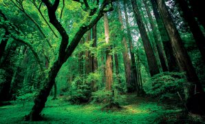 جمهورية الصعيد الجديدة 2040.. كيف ترسم استراتيجية التنمية المحلية ملامح اللامركزية وتنهى عصر التهميش؟ "مشرط" التحليل يشخص أوجاع المحافظات.- قانون التخطيط 18 لسنة 2022: الدستور الجديد للامركزية