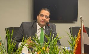 المؤبد والغرامة عقوبة الاتجار بالآثار فى القانون