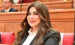 نائب بالشيوخ: توجيهات الرئيس لإطلاق "دولة الفنون" تعيد إحياء القوة الناعمة المصرية