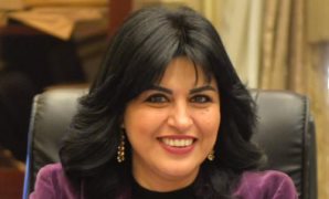 كيف تحولت قوانين الحيوان من ترف إلى عقوبات تصل للسجن فى 2026؟.. جواز سفر إلزامى للقطط والكلاب فى أوروبا.. وحظر تربية القط الأصلع فى هولندا وغرامة تصل لـ1500 يورو للمخالفين.. وإعدام الكلاب المخالفة بالسويد