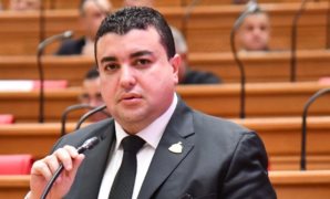 نائب: مصر تستهدف منع انزلاق المنطقة للصراعات.. والرئيس السيسى صوت الحكمة