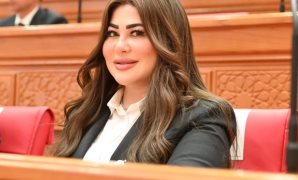 تعرف على شروط القانون للانضمام إلى التحالف الوطنى