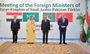 توافق برلماني واسع لاتفاقيات الطاقة..ومطالب بترجمة الاستكشافات إلى نتائج ملموسة للمواطنين        