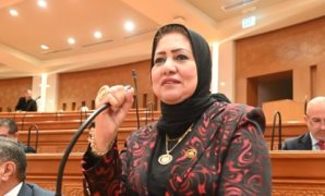 محمد صالح: جهود الأمن الوطني درع الوطن في مواجهة قوى الشر