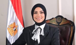 "صحة النواب" تناقش أزمة نقص وتذبذب توافر ألبان الأطفال والأثر التشريعي لقانون سلامة الغذاء 