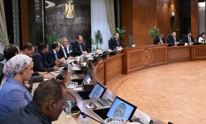 النائبة داليا السعدني : الثقافة والإعلام في أوائل صفوف العمل على تعزيز منظومة الوعي 