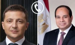 برلمانى: جهود الرئيس السيسى الدبلوماسية المتواصلة تحمى الأمة المصرية والعربية