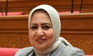 محمد زين الدين يطالب برقابة صارمة على قرار العمل عن بعد لمنع تعطل مصالح المواطنين 