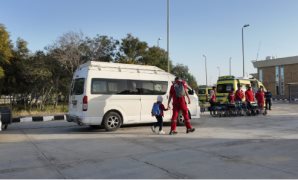 جمال أبو الفتوح: مركز الحبوب المصري الروسي سلاح جيوسياسي يعيد صياغة نفوذ القاهرة عالميًا