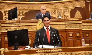 رئيس برلمانية الجبهة الوطنية بالنواب يشيد بتحرك محافظ بورسعيد لحل أزمة الإسكان