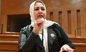 وكيل دينية النواب" يطالب بحوار مجتمعي شامل قبل إقرار قانون المحليات