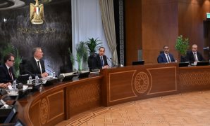 النائبة هند رشاد: الدبلوماسية المصرية لاعب رئيسى فى تحقيق التوازن بالمنطقة