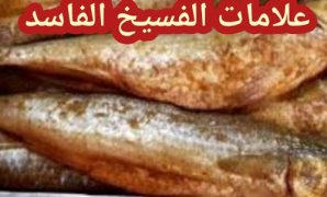 نصائح "حماية المستهلك" للمواطنين في شم النسيم.. 5 فئات يجب إمتناعهم عن تناول الفسيخ والرنجة.. و16 نصيحة يجب الإلتزام بها.. الأبرز وضرورة التأكد من تاريخ الإنتاج.. وعقوبات رادعة للإتجار في الفسيخ والرنجة الفاسدة