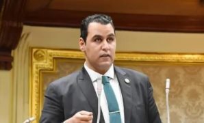  أبو النصر: توجيهات الرئيس بسرعة تقديم قوانين الأسرة المصرية هدفها الاستقرار المجتمعى