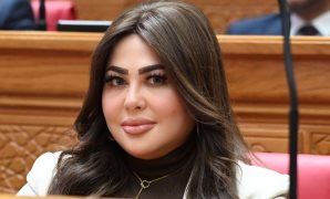 تعرف على أهداف صندوق تأمين الأسرة وحماية الحقوق