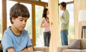 النائب طارق شكرى: البرلمان سيحرص على مناقشة مشروع قانون الأسرة بصورة موسعة