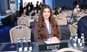 وكيل "دفاع النواب": سرعة ضبط خاطفة رضيعة الحسين تؤكد كفاءة الأجهزة الأمنية