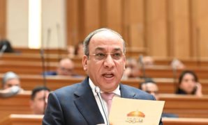 النائبة نشوة عقل: حوار الجبهة الوطنية حول الأحوال الشخصية خطوة مهمة لحماية الأسرة مصرنا