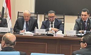 رئيس فنلندا يشيد بالتطور فى مصر: تحول واضح فى البنية التحتية وشبكات الطرق