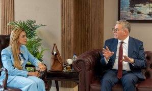 النائبة مروة بوريص، عضو لجنة الطاقة بمجلس النواب