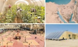 إزاى تبدأ مشروعك من الصفر؟.. التفاصيل الكاملة لمبادرة مشروعك بالبحيرة