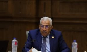 بحضور وزير الرياضة.. "الشيوخ" يناقش تحويل مراكز الشباب إلى مراكز خدمة مجتمعية متكاملة