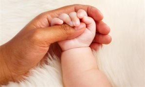 النائب إيهاب إمام: تحرير سيناء نموذج ملهم لقدرة الدولة على البناء بعد النصر