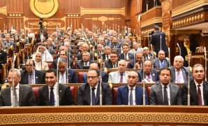  معلومات الوزراء: الاقتصاد التشاركي في مصر شهد نموًا متسارعًا مدفوعًا بتوسع استخدام التكنولوجيا الرقمية