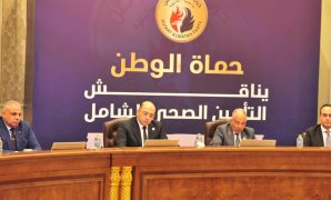 بعد لقاء وزير الاستثمار.. البرلمان يترقب تنفيذ ميثاق الشركات الناشئة خلال ال 3 أشهر المقبله   