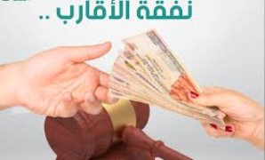 القضاء يتصدى لألاعيب الأزواج لعدم "دفع مصاريف البيت".. حكم قضائى في دعوى صورية عقد اتفاق على نفقة أقارب بين الزوج ووالدته إضرارا بالزوجة وصغارها.. الزوجة أثبتت أن "أم زوجها" تتقاضى معاشين ولا تحتاج لنفقة أقارب