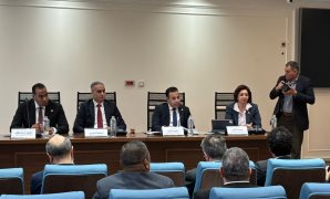 الرئيس السيسى يستقبل رئيس مجموعة بنك التنمية الأفريقي 