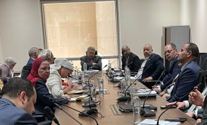 النائبة مي كرم جبر توافق على الحساب الختامي للموازنة وتدعو لزيادة الإنفاق الإنتاجي    