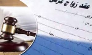 نائبة بـ«خارجية النواب»: لقاء السيسي ومحمد بن زايد يعكس قوة التحالف المصري الإماراتي
