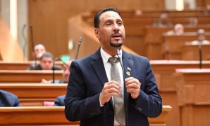 نشأت حتة: زيارة الرئيس السيسي للإمارات تجسيد لروح "الأخوة العربية".. وأمن أبوظبي "خط أحمر" لا يقبل التهاون
