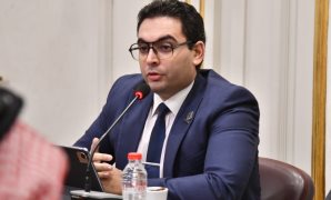 قيادي بالحرية: مصر قلب الأمة العربية.. والشباب أسقط مخططات الإخوان لنشر الفتنة والتشكيك