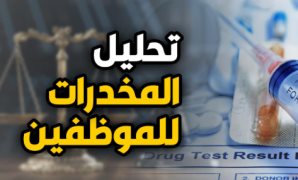 قانون 73.. حين تحوّل الهدف النبيل إلى أزمة إنسانية.. التطور التشريعى لمكافحة المخدرات في قانون العمل.. 3 قوانين شاهدة على شروط شغل الوظائف أو الاستمرار فيها.. والإشكالية تكمن فى آلية التطبيق ولوائحه التنفيذية