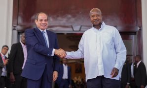 لجنة الزراعة بـ«الشيوخ» تناقش اليوم خطة عاجلة لمواجهة زحف الكثبان الرملية وحماية الأراضي الزراعية