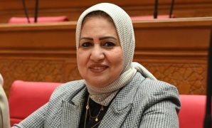 اللمعي: رؤية الرئيس فى قمة نيروبي تؤسس لمرحلة أفريقية جديدة قائمة على الإنتاج والاستقرار