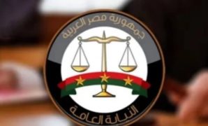 محمد الجراري: «الدلتا الجديدة» مشروع دولة يعيد صياغة مستقبل الاقتصاد والزراعة في مصر