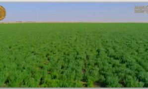 الكهرباء أمام "طاقة النواب" : تعميم العدادات مسبقة الدفع على المشتركين الجدد واستبدال القديمة تدريجيا