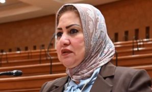 تحرك عاجل من سحر صدقي تحت قبة البرلمان بشأن عجز أسرة العناية على مستوى المحافظة 