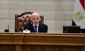 برلمانية: مشروع «الدلتا الجديدة» ملحمة تنموية عملاقة تعزز الأمن الغذائي وتفتح آفاقًا جديدة للاستثمار والعمل 