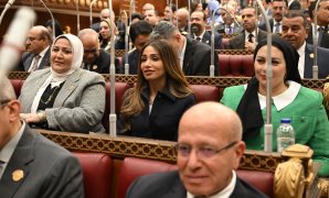 بعد واقعة غش عصير القصب..الحمامصي يسأل: أين دور الهيئة القومية لسلامة الغذاء؟