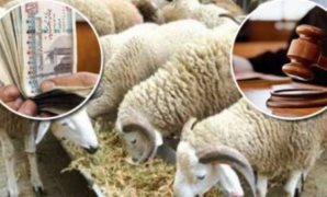 مجدي مسعود: نسيان جرائم الإرهابية خطر يهدد بعودة التطرف في صور جديدة