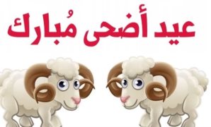 القانون ينظم أهداف صندوق قادرون باختلاف لحماية ذوى الهمم